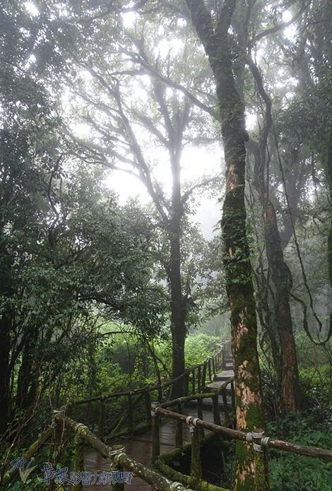不浪費旅行一分一秒 10個排景點攻略
